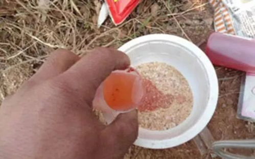 春季钓鱼饵料没口红虫有口怎么办