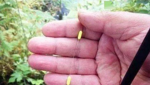 自制简易七星漂饵料,三分钟搞定,鱼儿抢着咬! 自制简易七星漂饵料,三分钟搞定,鱼儿抢着咬!