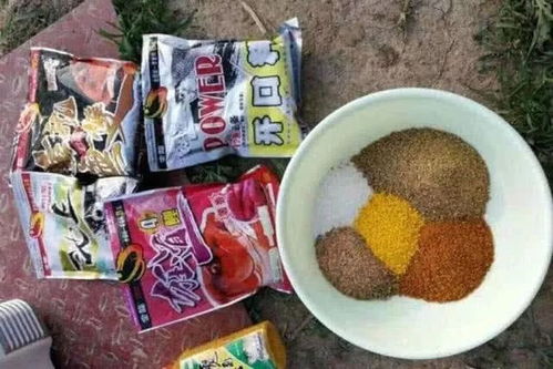 钓鱼饵料三件套怎么选择,从新手到专家的全面指南 钓鱼饵料三件套怎么选择,从新手到专家的全面指南