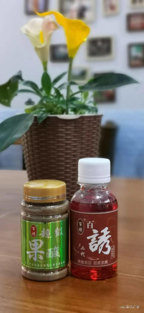 钓鱼饵料越来越多了怎么办?实用指南助你轻松应对