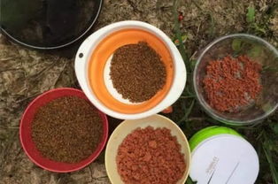 冬季钓鱼饵料里加味精,效果与使用技巧全解析