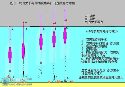 钓鱼饵料几比几怎么看图解