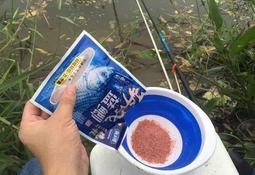钓鱼饵料越来越多怎么办? 钓鱼饵料越来越多怎么办?