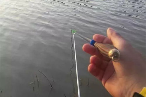 如何做好钓鱼饵料甩竿,实用技巧与指南 如何做好钓鱼饵料甩竿,实用技巧与指南