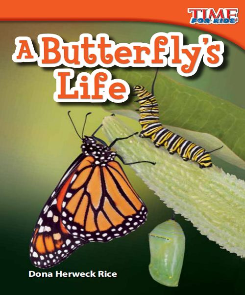 How to Learn Saltwater Fly Fishing Techniques from Friends How to Learn Saltwater Fly Fishing Techniques from Friends