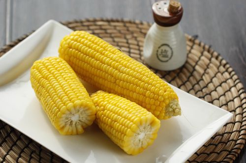 钓鱼饵料千里迢迢怎么用,长途携带与使用全攻略