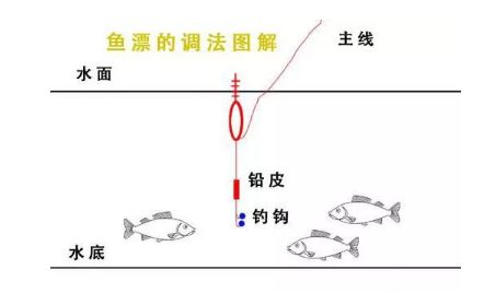 黄哥钓鱼饵料怎么用?手把手教你用视频轻松掌握钓鱼技巧!