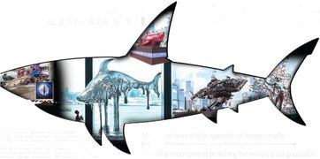 Mastering the Art of Catching Fish Without a Line:Innovative Techniques for Anglers Mastering the Art of Catching Fish Without a Line:Innovative Techniques for Anglers