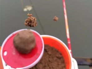 黑坑散炮钓鱼饵料制作全攻略,从配方到实战技巧