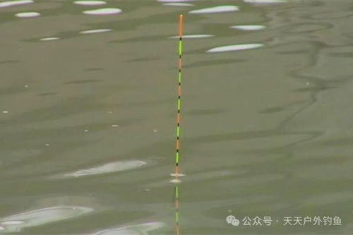 手竿万能饵料,钓大鱼的终极秘籍 手竿万能饵料,钓大鱼的终极秘籍