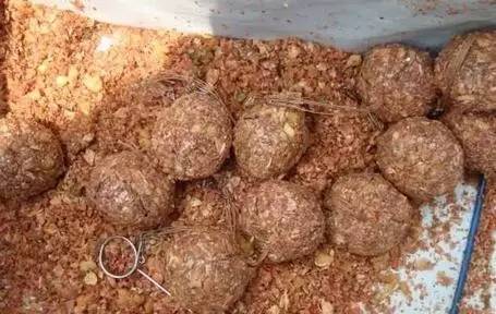 鬼谷海竿钓鱼饵料怎么样?实战测评与深度解析