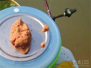 钓鱼饵料烩面使用方法视频教程详解