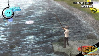 骑驴钓鱼饵料怎么用?手把手教你钓大鱼!