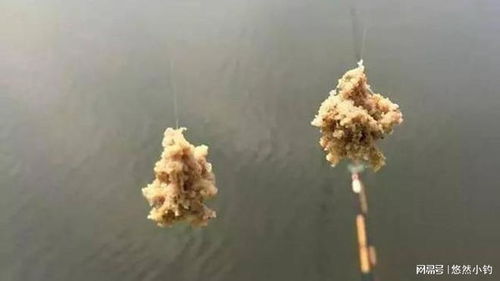 钓鱼饵料蓬松秘籍,让鱼儿更愿意咬钩的秘诀