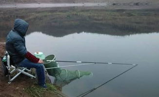 牛渡滩钓鱼饵料使用全攻略,从选料到实战技巧 牛渡滩钓鱼饵料使用全攻略,从选料到实战技巧