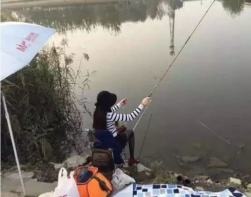 驴友钓鱼饵料怎么样啊? 驴友钓鱼饵料怎么样啊?