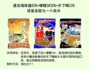 钓鱼饵料突然不见?别急,这5个原因你一定要知道!