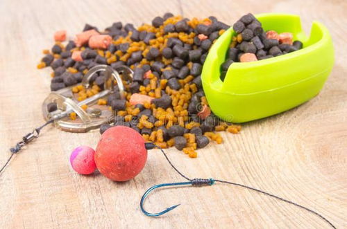 钓鱼饵料制作全攻略,从零开始的视频教程