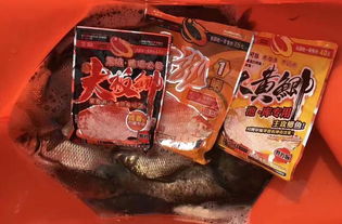 金子钓鱼饵料怎么样好用吗?揭秘实战效果与使用技巧