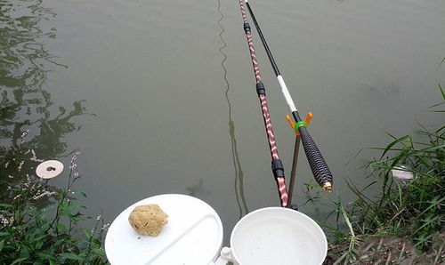 钓鱼饵料泡泡多怎么办?这些方法让你轻松应对! 钓鱼饵料泡泡多怎么办?这些方法让你轻松应对!