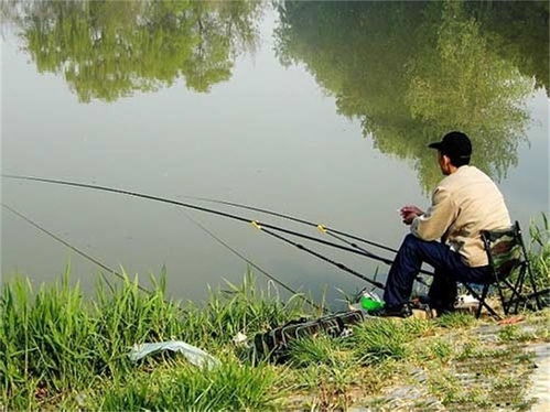 钓鱼饵料不变质的终极解决方案,告别烦恼,畅享全天候钓鱼乐趣