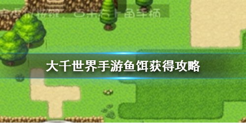 七日世界岩浆钓鱼饵料全攻略，从选择到搭配的终极指南