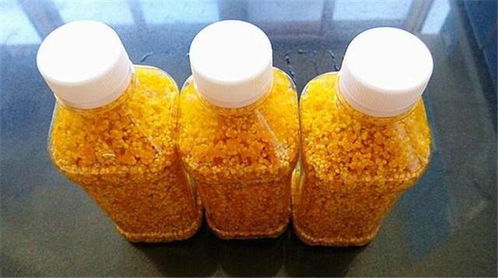 自制小鱼饵料秘籍,酒米钓鱼的完美配方与技巧