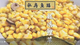 钓大鱼必学!自制超诱鱼黄色饵料秘方 钓大鱼必学!自制超诱鱼黄色饵料秘方