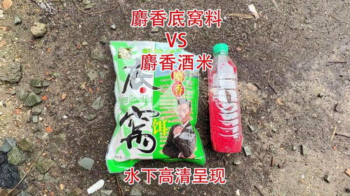 神湾钓鱼饵料全解析，本地饵料VS商品饵，哪种更适合你？