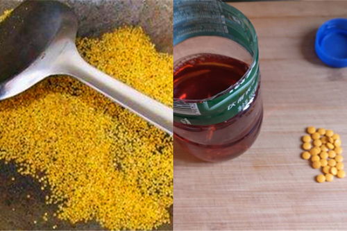 逗钓钓鱼饵料怎么配好?这份详细指南让你轻松掌握 逗钓钓鱼饵料怎么配好?这份详细指南让你轻松掌握