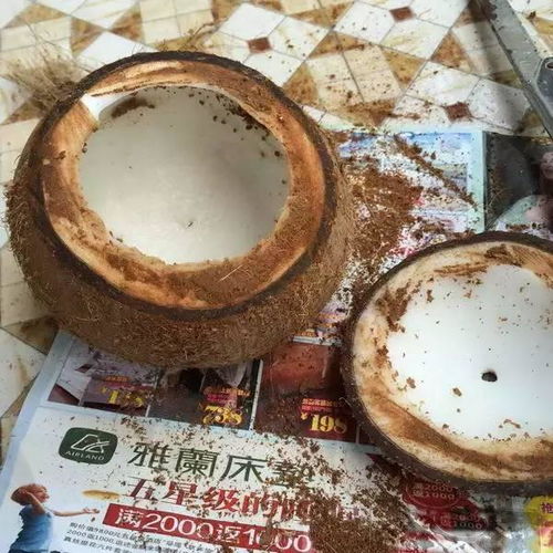 谷糠变废为宝,自制钓鱼饵料的秘诀 谷糠变废为宝,自制钓鱼饵料的秘诀