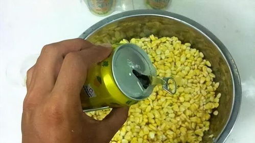 自制保温箱钓鱼饵料,简单易行的制作指南 自制保温箱钓鱼饵料,简单易行的制作指南