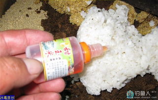 大叔钓鱼饵料怎么样用的？这些技巧让你的鱼儿争先恐后地咬钩！