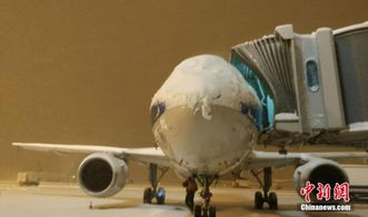 美国政府停摆导致芝加哥、达拉斯进出港航班延误 美国政府停摆导致芝加哥、达拉斯进出港航班延误