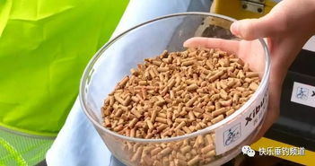 钓鱼饵料颗粒麻团怎么做?手把手教你制作诱鱼神器