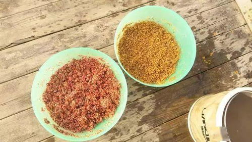 印江钓鱼饵料怎么样好用吗？深度测评告诉你答案！