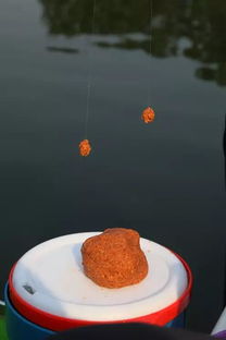 鲜虾滑钓鱼饵料怎么用的？3种场景下的实用技巧