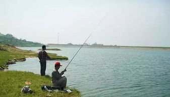 混饵调漂的绝佳技巧,让你的钓鱼饵料发挥最大效果 混饵调漂的绝佳技巧,让你的钓鱼饵料发挥最大效果