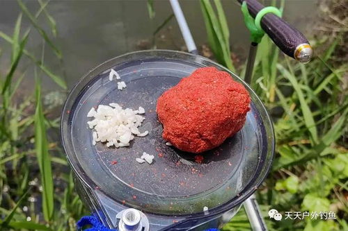 大米饭也能钓大鱼!自制大米饭钓鱼饵料的秘诀 大米饭也能钓大鱼!自制大米饭钓鱼饵料的秘诀