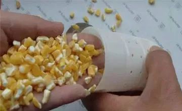 螺肉饵料制作全攻略,钓鱼高手必学的秘方与技巧 螺肉饵料制作全攻略,钓鱼高手必学的秘方与技巧