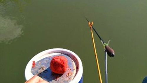 钓鱼饵料不用搓的三种方法,轻松上钩! 钓鱼饵料不用搓的三种方法,轻松上钩!