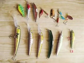 钓鱼饵料怎么挂钩不会散发腥味呢？