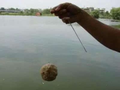 钓鱼饵料的制作与使用技巧,提升钓鱼成功率