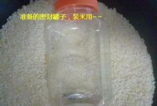 揭秘!钓鱼大爷的秘制饵料配方,专钓大鱼,效果惊人! 揭秘!钓鱼大爷的秘制饵料配方,专钓大鱼,效果惊人!