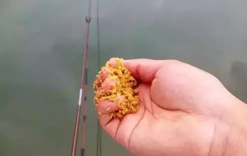 钓鱼饵料太松怎么办?这些实用技巧让你轻松应对