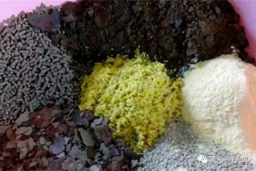 春季钓鱼饵料配方，3月初的完美选择