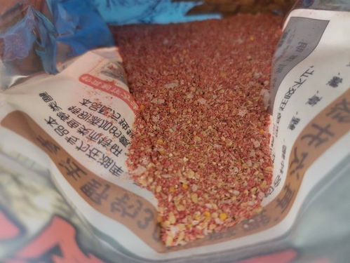 老吴钓鱼饵料怎么样？深度评测与实战体验