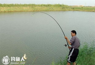 海刚钓鱼饵料怎么配的好?这份秘方让你轻松钓大鱼!