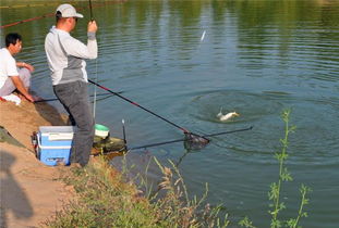 钓鱼饵料乱配怎么办?手把手教你科学配饵,告别乱撞式钓鱼! 钓鱼饵料乱配怎么办?手把手教你科学配饵,告别乱撞式钓鱼!