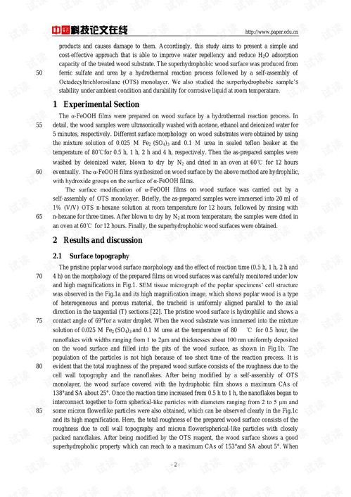 Mastering the Art of Bowfishing:Tips and Techniques for a Unique Angling Experience Mastering the Art of Bowfishing:Tips and Techniques for a Unique Angling Experience